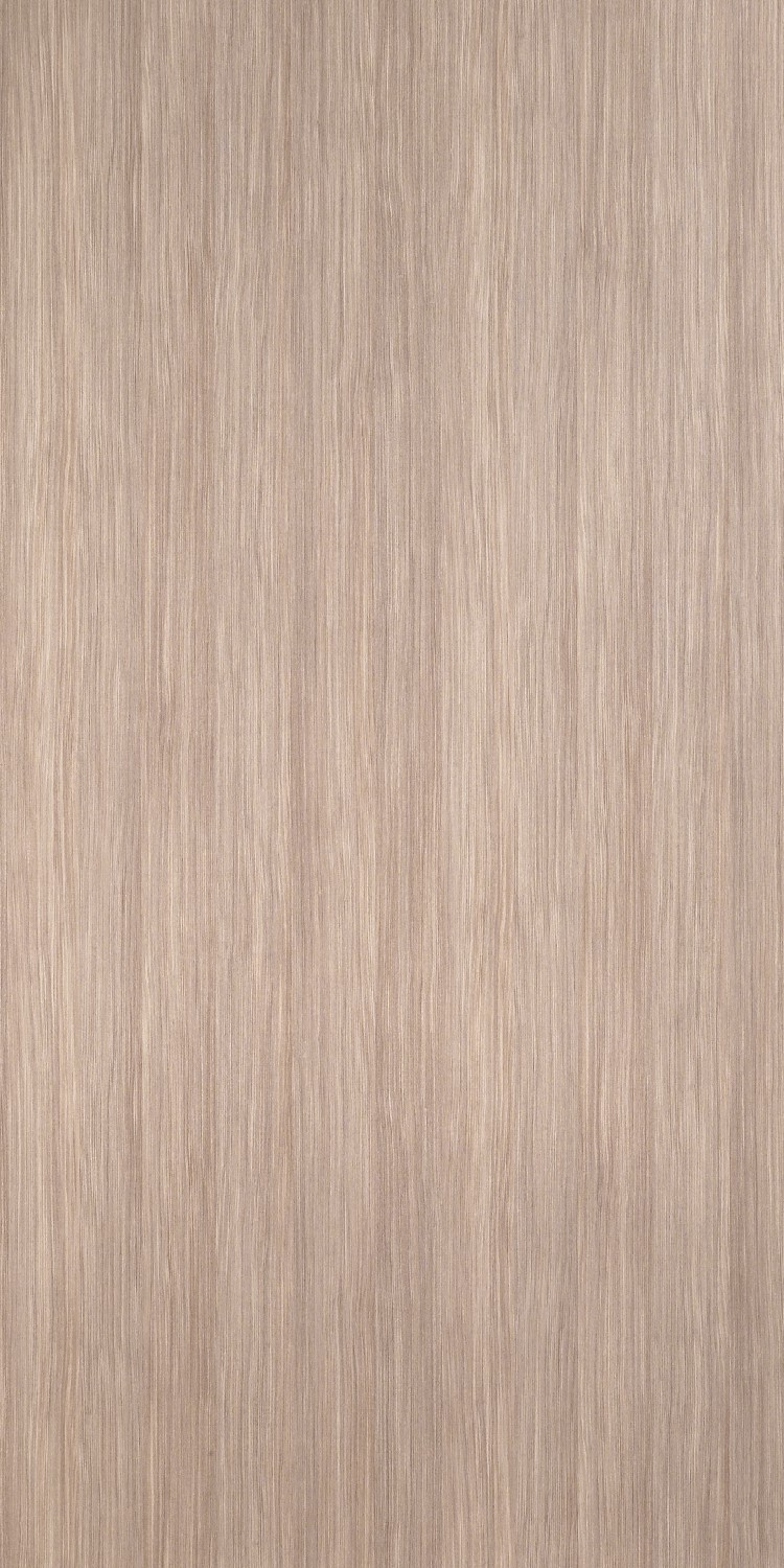 Formica Cora